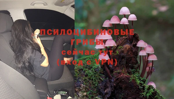 дурь Остров