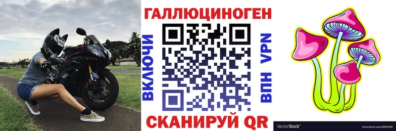 Псилоцибиновые грибы ЛСД  Суджа 